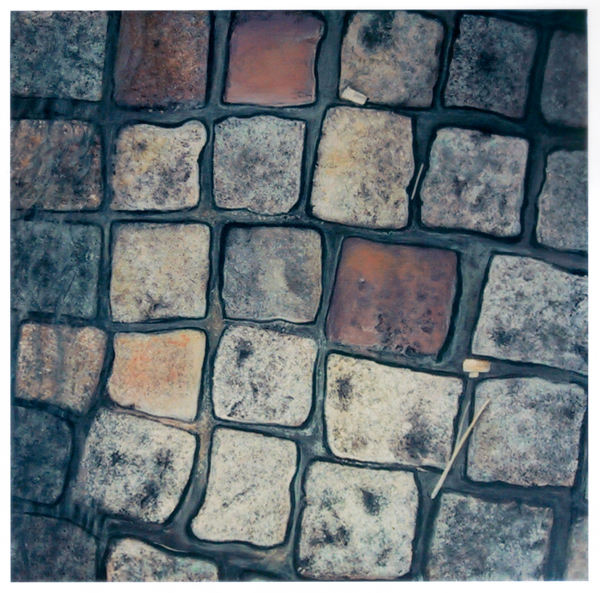 Painting cobblestones after the rain paris street