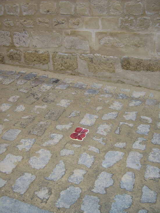 ham cobblestone installation paris