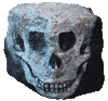 Skull rock art painting paris buy purchase